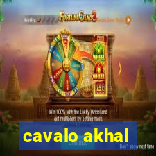 cavalo akhal-teke a venda no brasil cavalo akhal teke no